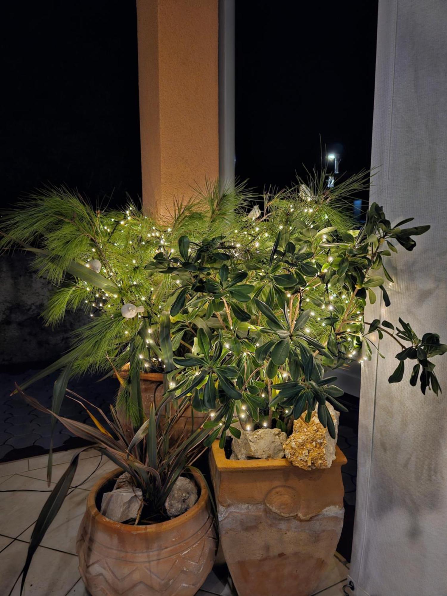 Apartment Melani فير المظهر الخارجي الصورة
