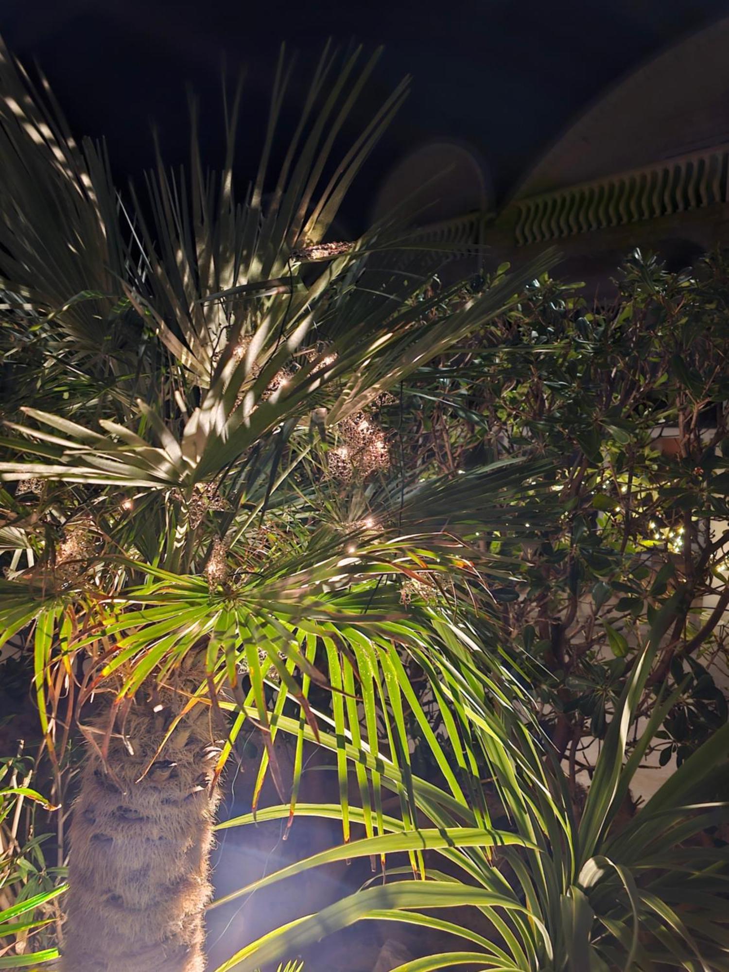 Apartment Melani فير المظهر الخارجي الصورة
